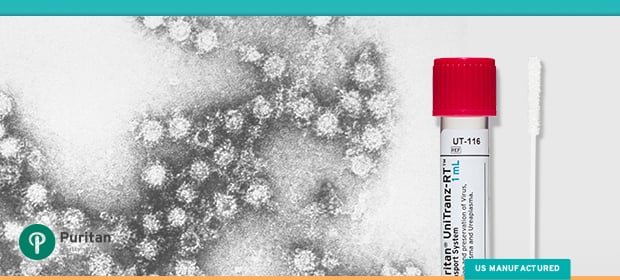 Enterovirus Test Kit: How to Test for Enterovirus D68