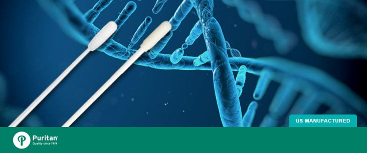 AncestryDNA Genetic Testing Genealogy Family Tree Test Kit ~ NEW & SEALED!