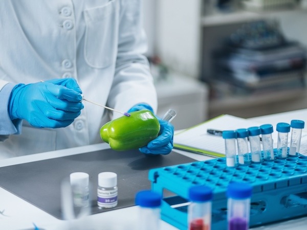 Lab technician in a lab coat and blue gloves swabbing a green bell pepper for testing, with test tubes and lab equipment on the table.