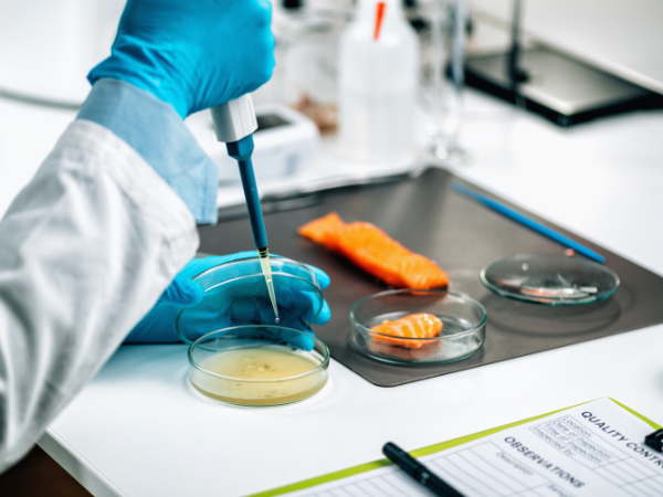A lab technician in a blue glove pipetting a solution into a petri dish for analysis, with salmon samples in the background and a "Quality Control" checklist on the table.