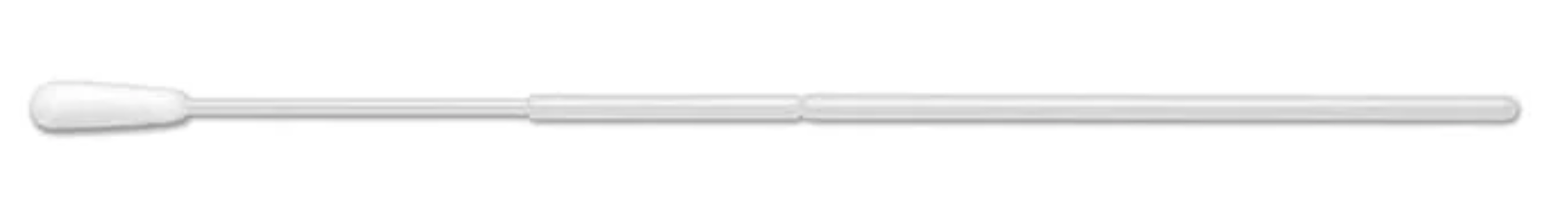buccal swab